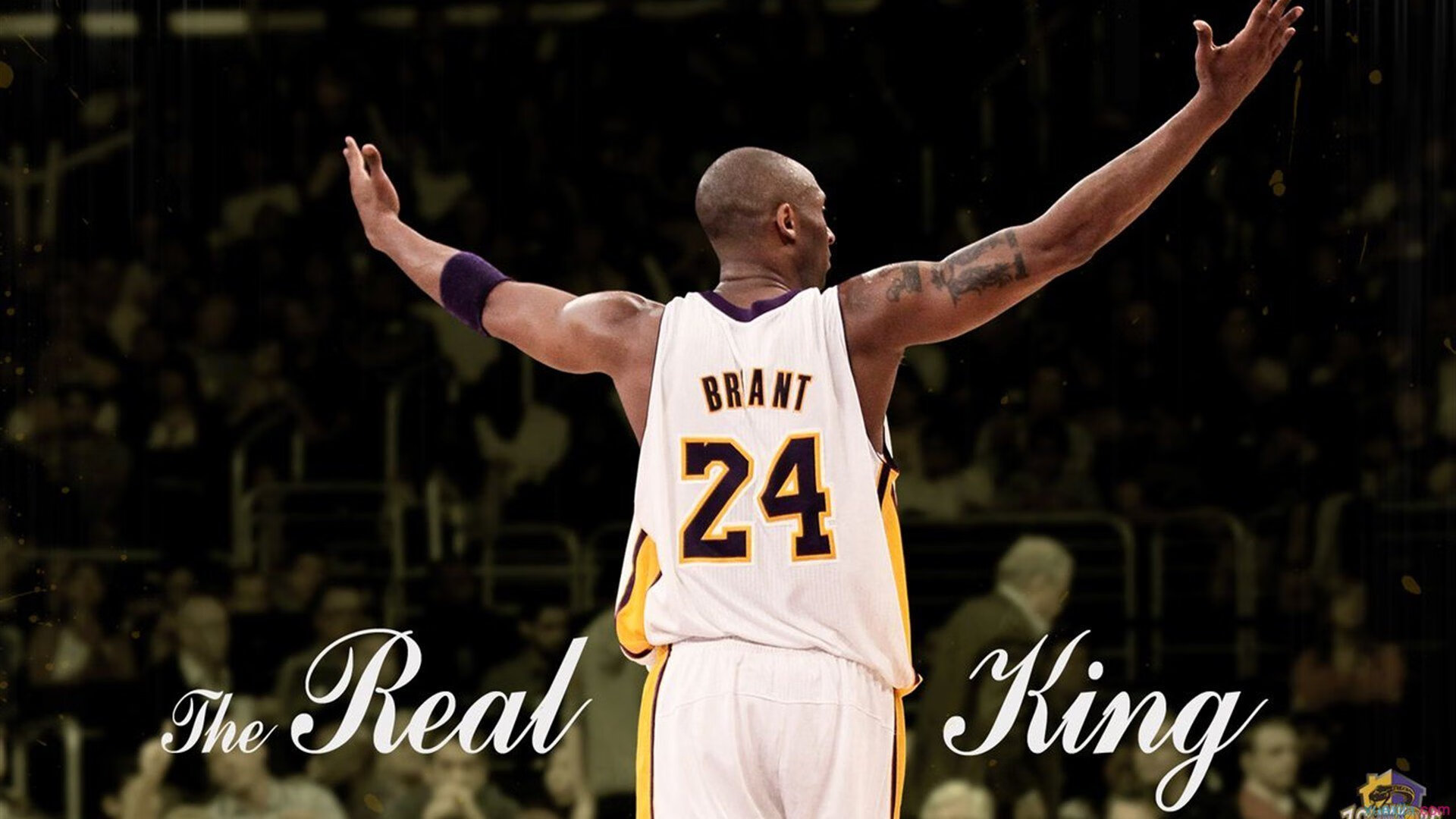 RNG选手社交媒体活跃，rng人气