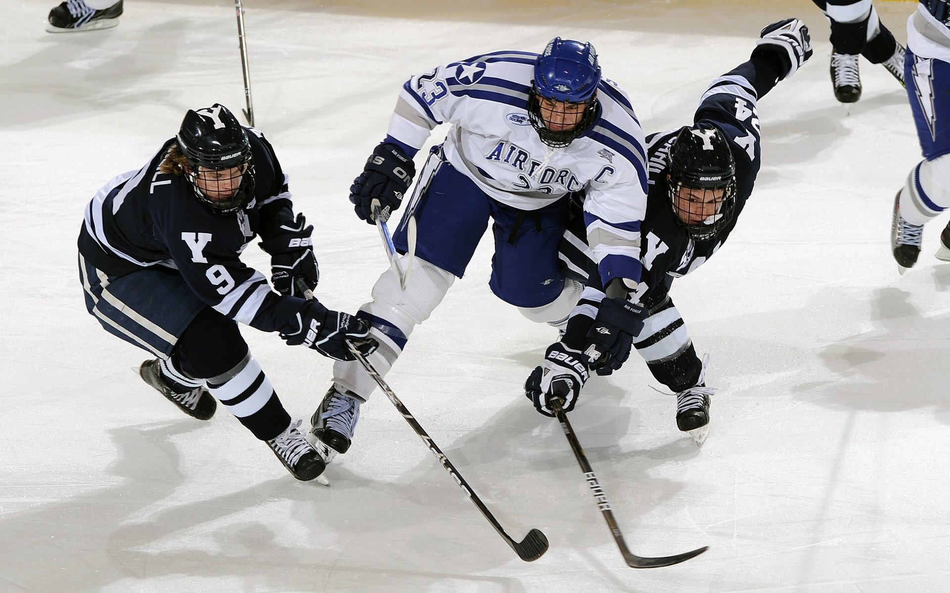 【“快速攻守”成标配】赛场的节奏感全面提升,朏朏技能搭配